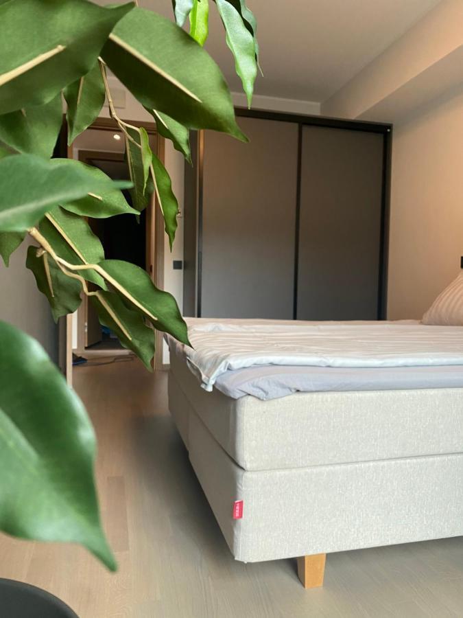 Tonismae Premium Apartment With Sauna 탈린 외부 사진